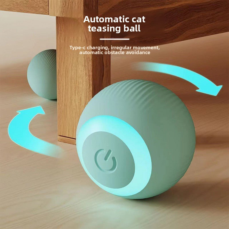 Orbita Pet