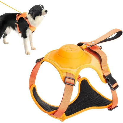 FlexiVibe - La Pettorina con Guinzaglio a Scomparsa e Blocco di Sicurezza