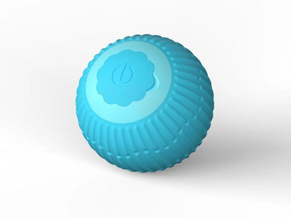 Orbita Pet