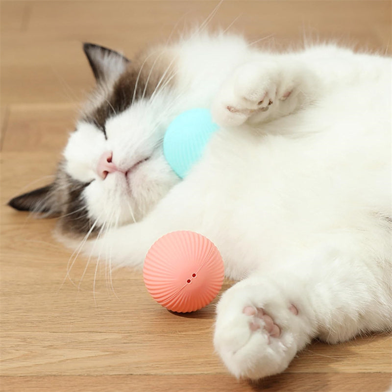 Orbita Pet