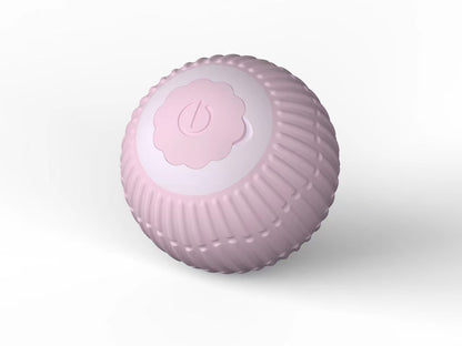 Orbita Pet