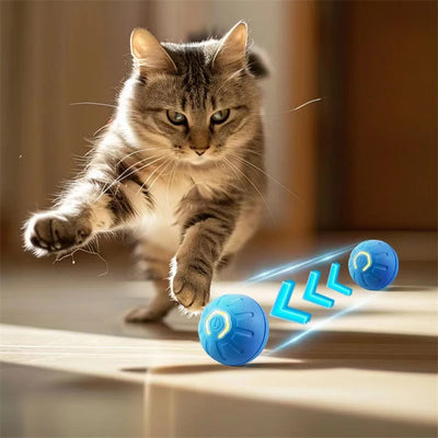 Orbita Pet