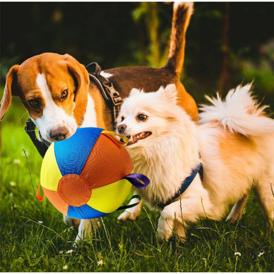 VibeBall - La Palla da Gioco Ultra-Resistente