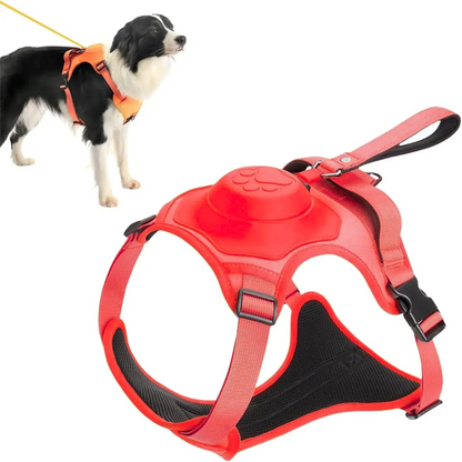 FlexiVibe - La Pettorina con Guinzaglio a Scomparsa e Blocco di Sicurezza